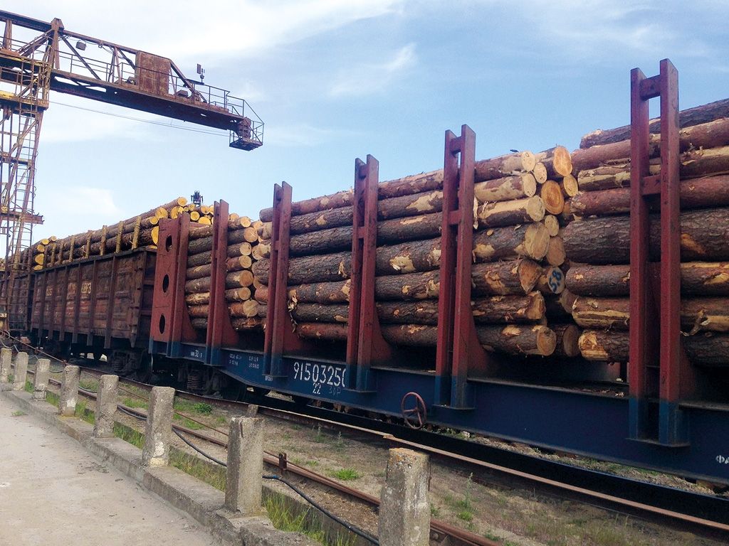 Log Export Ban in Ukraine: A Case for Presidential Veto