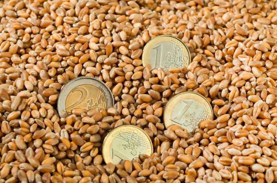 The New Agricultural Support System in Ukraine: Who Really Benefits?