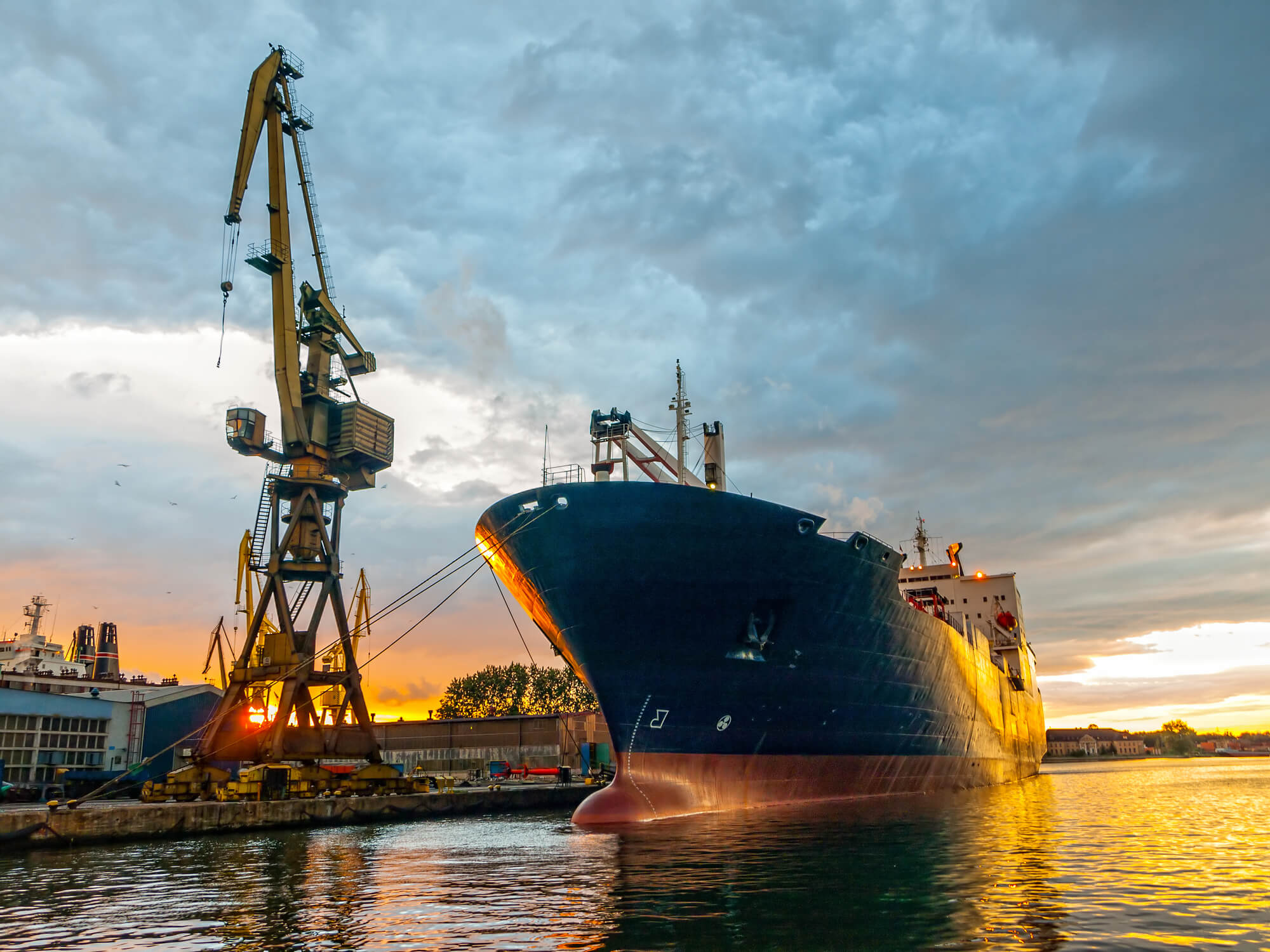 F**k Russian ships. How to block Russia’s sea trade?
