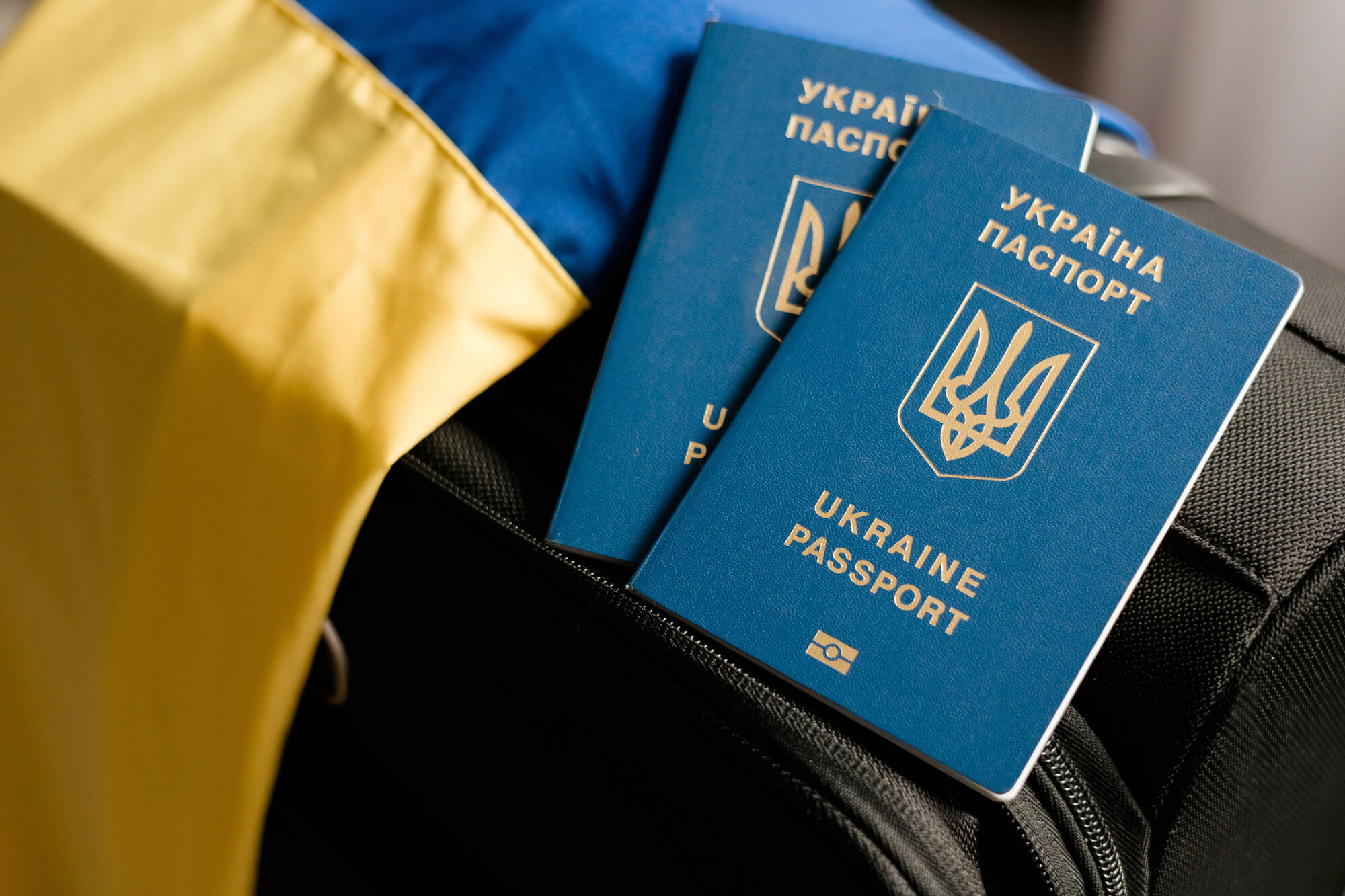 Українські мігранти: витрати, працевлаштування та вплив на економіки країн-реципієнтів