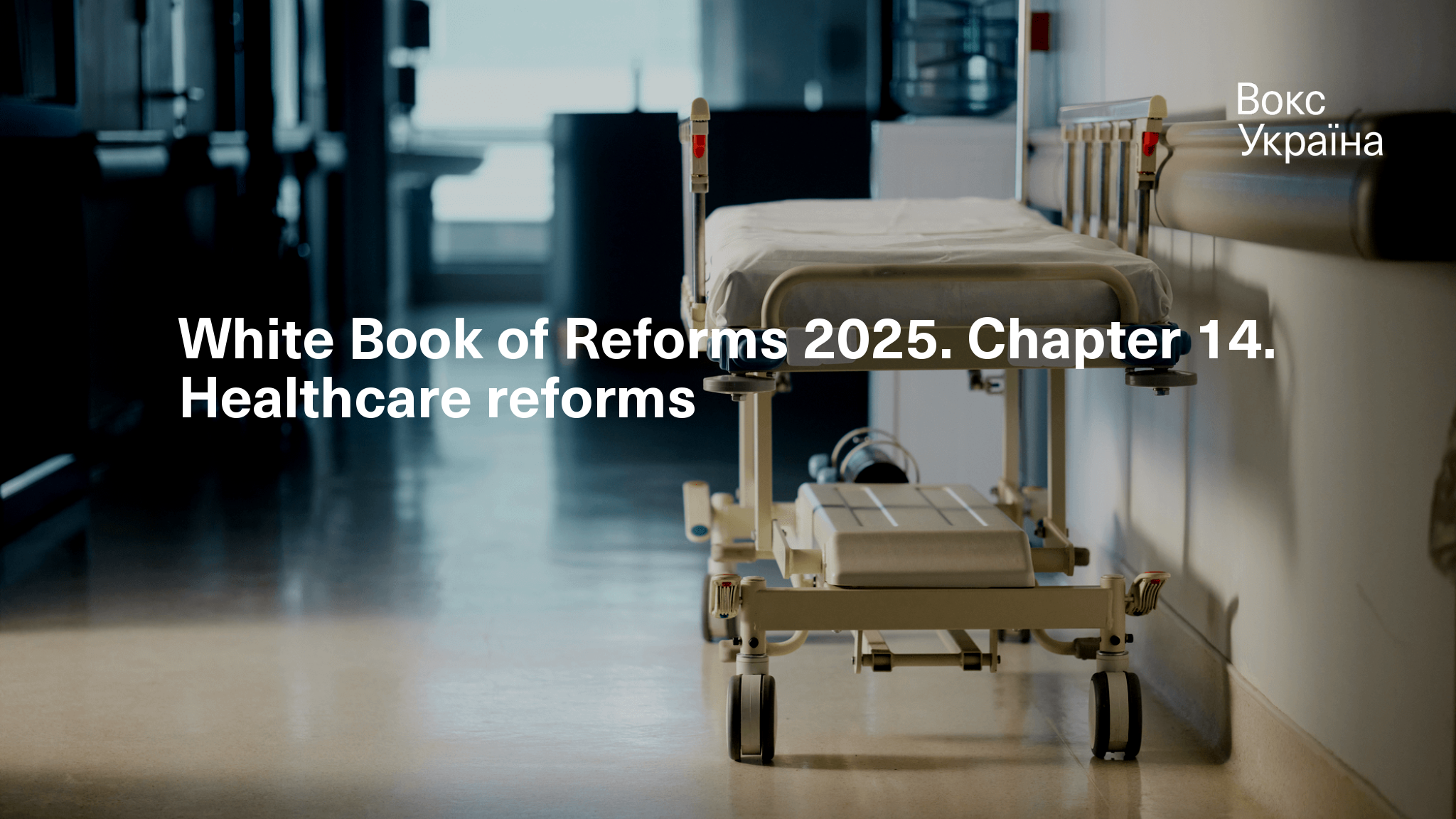 White Book of Reforms 2025. Chapter 14. Healthcare reforms